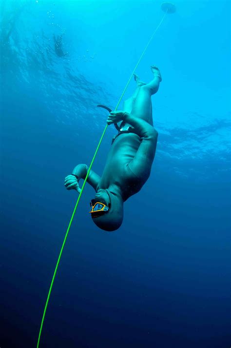 Freediving Courses .